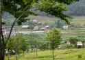 Chitlang
